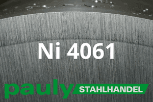 Stahl Werkstoff-Nr.: Ni 4061 Datenblatt